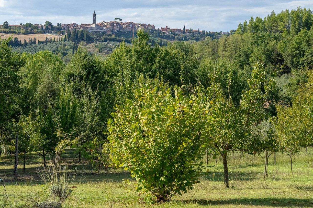 Agriturismo La Valle Peccioli Exteriér fotografie